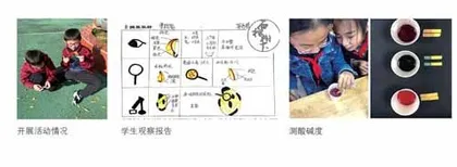 石榴树下
