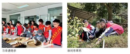 脉脉草药香 悠悠育人曲