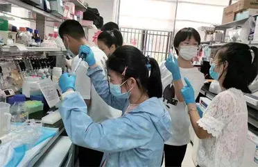 铅刀有干将之志萤烛希日月之光