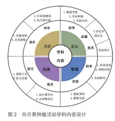 顺光而长追光而成