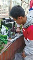 以项目式学习培养科学思维和方法