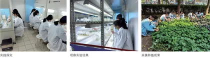 培育瓶中小植物 助力生态大环境