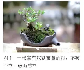 STEM教育的应用范畴（十七）