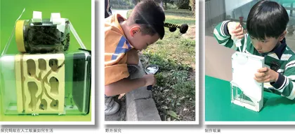 PBL项目式教学提高学生解决复杂问题的能力