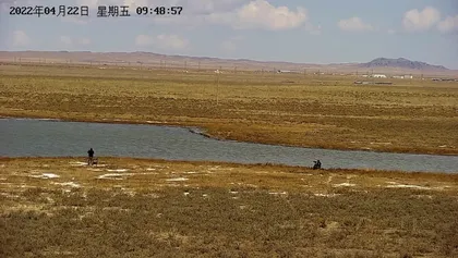 内蒙古东乌珠穆沁旗志愿者自购监控设备监测候鸟状况