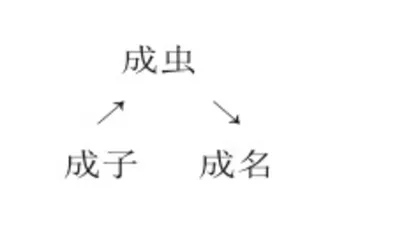 以异化之荒诞，显批判之深刻