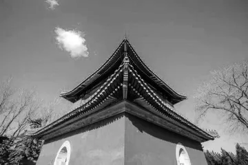 《我与地坛》意象群辨析