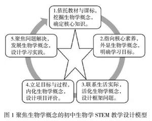 聚焦生物学概念的STEM活动研究