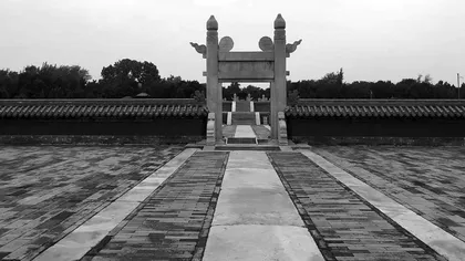 新课改以来《我与地坛（节选）》教学的进展与问题