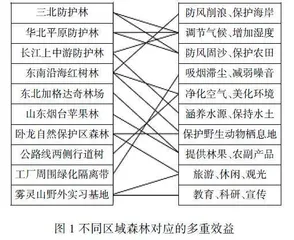 高中地理教学中发散思维的应用类型与培养