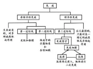 基于问题驱动的“免疫”一节教学设计