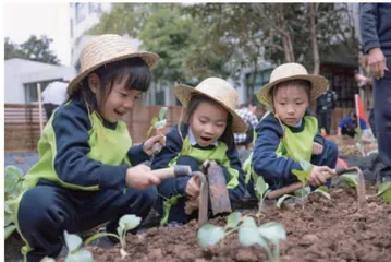 劳动教育在“七彩农场”里生长