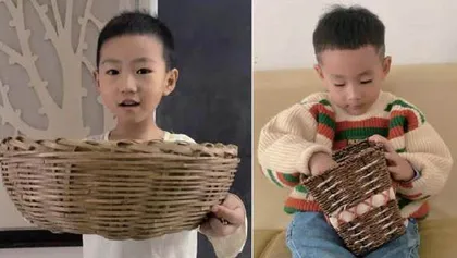 从兴趣出发　支持幼儿深度学习
