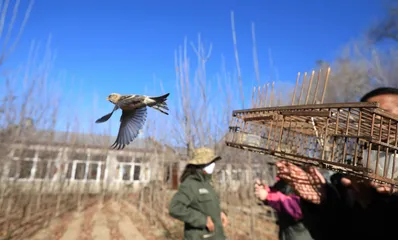 立足本地,探索及时高效的护飞模式3