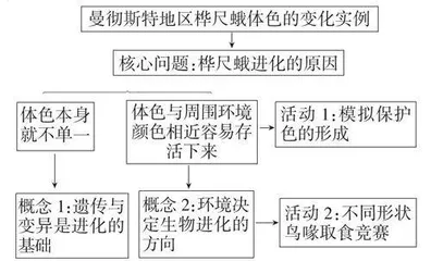 基于“概念建构”的初中生物课堂学习任务设计方案探索