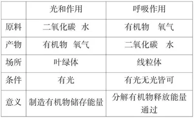 浅谈初中生物教学的几点感悟
