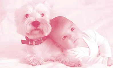 Why You Want to Squeeze Adorable Babies and Puppies人为什么爱捏萌宝萌犬
