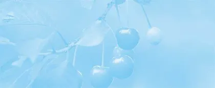Orchard叔叔的樱桃园