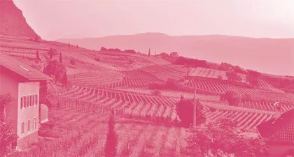 Neighbour Rosicky (Excerpt V)《邻居罗西基》（节选五）