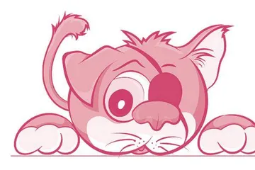 The One-Eyed Cat独眼猫