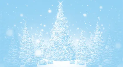 Life and Death in a Christmas Tree圣诞树的生与逝