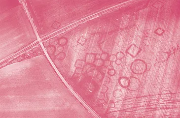 Unexpected Things About Archaeology考古出乎意料的几件事