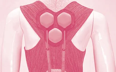 The Future of Smart Clothing1智能服装的未来