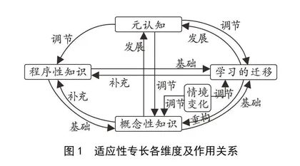 适应性专长视角下乡村体育教师专业发展的内在逻辑与路径重构