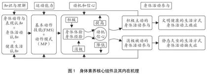 身体素养的理论溯源、内在机理及其对我国幼儿体育教育的启示
