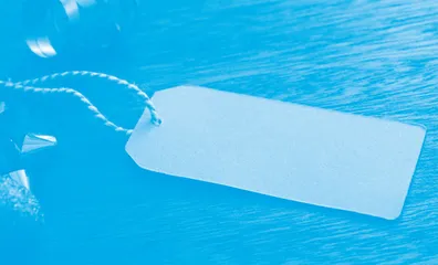 The “Last Mile” of Consumer Sustainability Behavior可持续消费行为的“最后一英里”