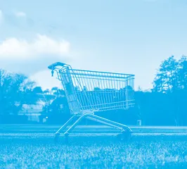 Are Chinese Consumers Ready to Ride the Green Wave?中国消费者的绿色消费意愿