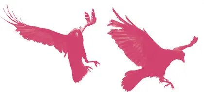 Charlie’s Raven (Excerpt II)《查理的渡鸦》（节选二）