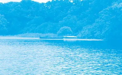 In Praise of Walking (Excerpt)1徒步旅行赞（节选）