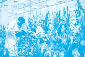 Biotechnology: A Flag of Many Colors绚丽多彩的生物技术