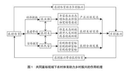 共同富裕视域下农村体育助力乡村振兴的内涵、机理和实践指向