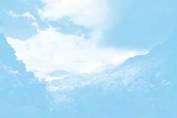 一匹穿山甲（节选）A Pangolin (Excerpt)