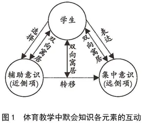 体育教学中的默会知识及其实践培育