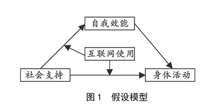 社会支持对城市空巢老人身体活动的影响 