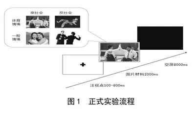 权力感对体育专业大学生道德认知的影响：来自fNIRS的证据