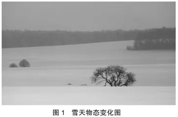 基于跨学科研究的初中物理教学探究
