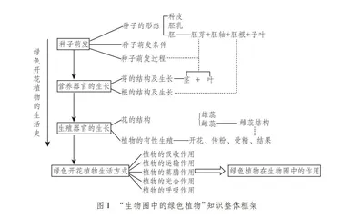 STEAM理念引领下的“生物圈中的绿色植物”大单元教学设计与实践