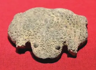 甄器尚象:夏代文明之光2