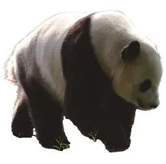 中国科学院院士现场展示的“隐身术”是什么科学原理4