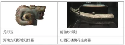 有龙名曰猪婆——龙的原型是扬子鳄?4