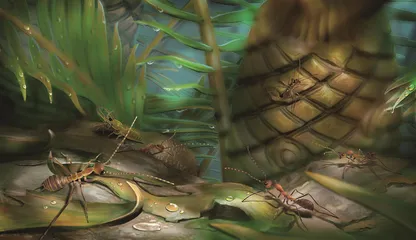 中生代往事：昆虫帝国的“二次革命”（中）2