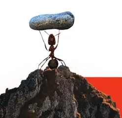 科学达人挑战区