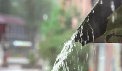 苏东坡笔下的雨是啥雨1