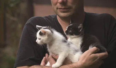 宠物猫或许真能听懂你说的话1