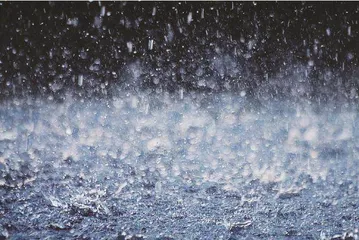 苏东坡笔下的雨是啥雨3