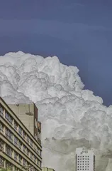 苏东坡笔下的雨是啥雨4